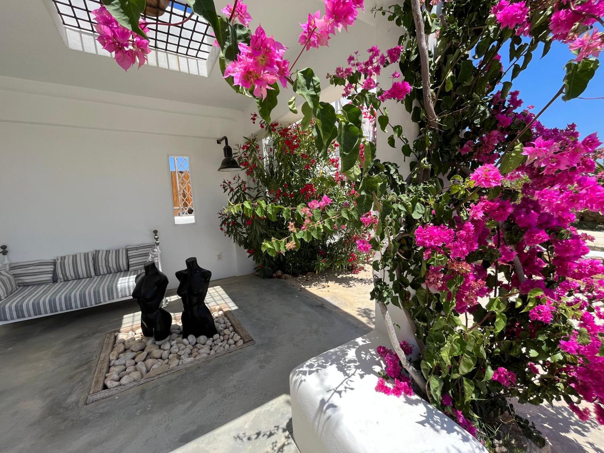 VILLA THEIA - SELENE , appartement de charme pour 4 à 6 personnes prés de la plage et du village de Koufonissi Koufonisia Exterior foto